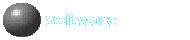 Software